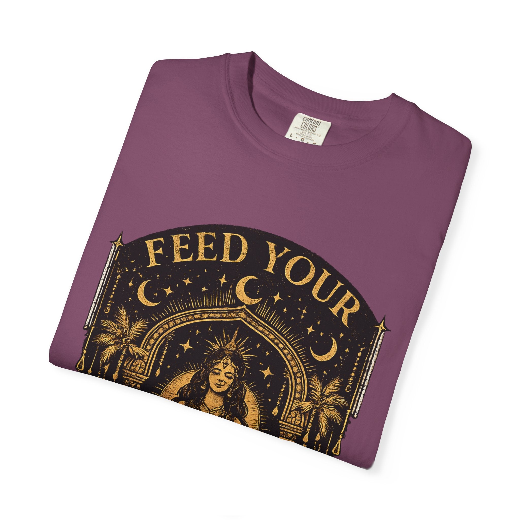 Feed Your Divinity T-Shirt — Temple Goddess Spiritual Graphic Tee