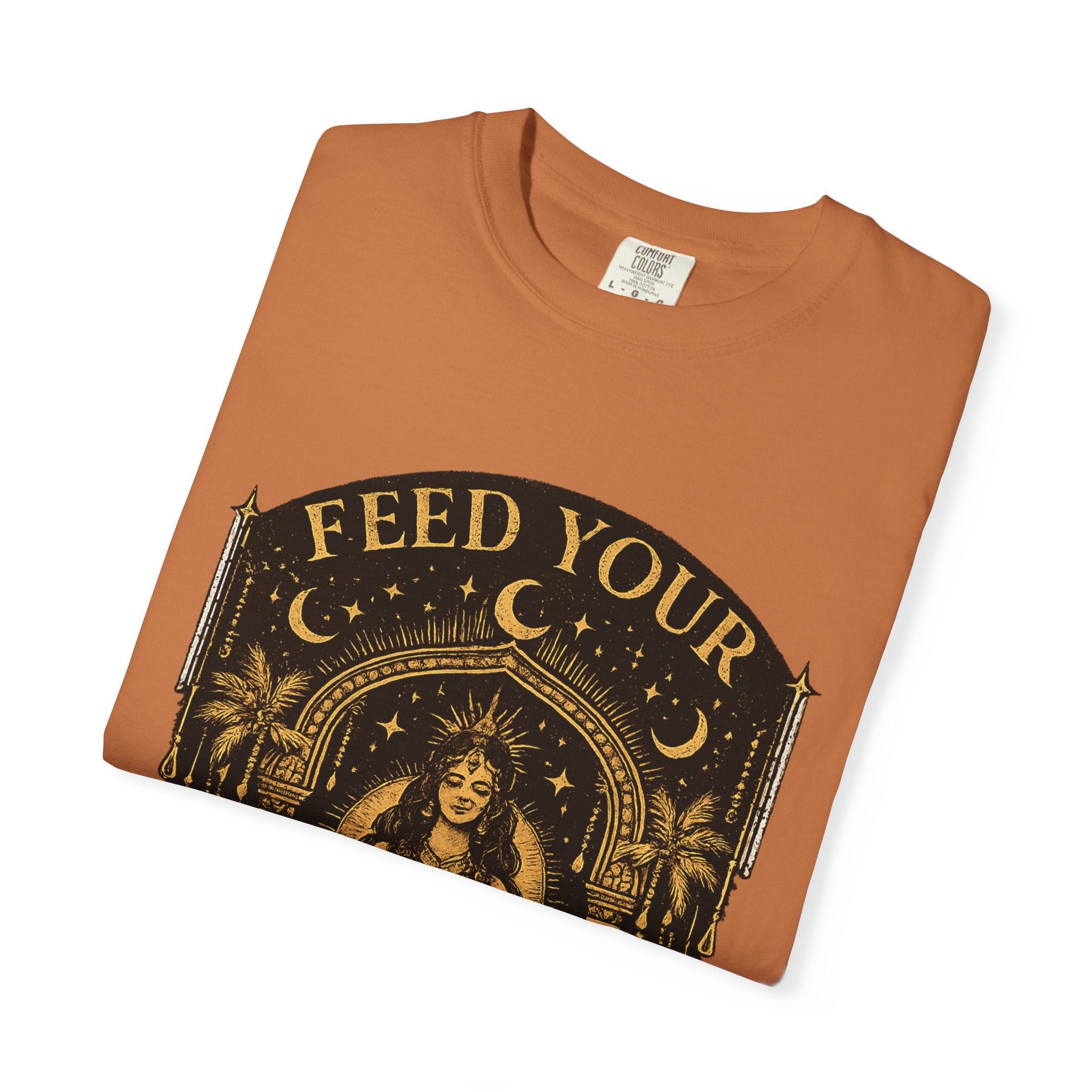 Feed Your Divinity T-Shirt — Temple Goddess Spiritual Graphic Tee